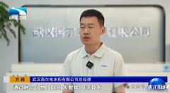 成“繁星满天”的集群效应